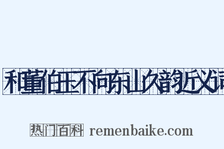 和董伯玉不向东山久韵近义词是什么意思的图片